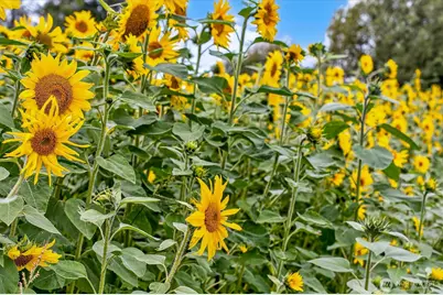 1710 W State Route 4, Skamokawa Valley, WA 98647 - Photo 20