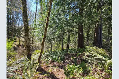 23430 Fisk Road E, Orting, WA 98360 - Photo 40