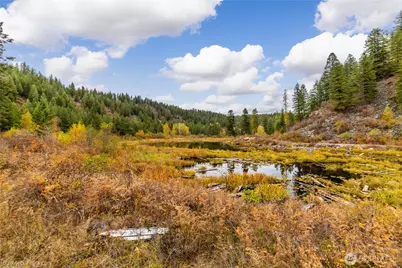 8 Camden Road, Elk, WA 99009 - Photo 16