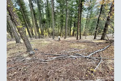 142 C Red Pine Court, Winthrop, WA 98862 - Photo 8