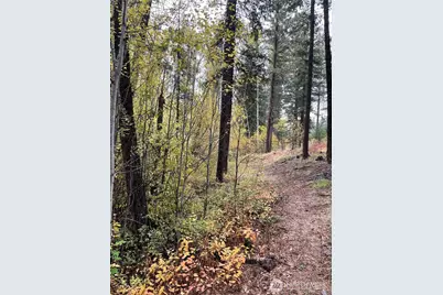 142 C Red Pine Court, Winthrop, WA 98862 - Photo 4