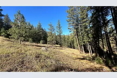 142 C Red Pine Court, Winthrop, WA 98862 - Photo 16