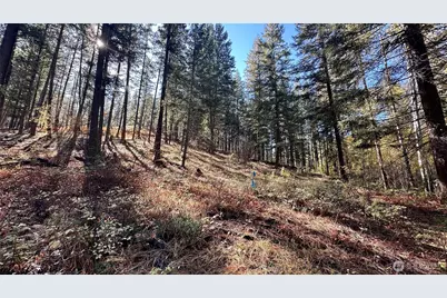 142 C Red Pine Court, Winthrop, WA 98862 - Photo 12