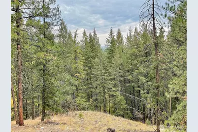 142 C Red Pine Court, Winthrop, WA 98862 - Photo 6