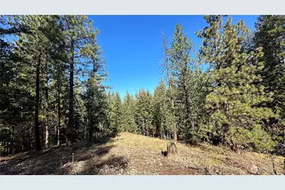 142 C Red Pine Court, Winthrop, WA 98862 - Photo 1