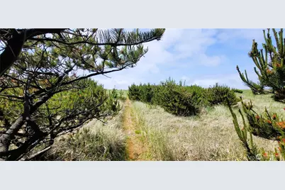 30309 G Street, Ocean Park, WA 98640 - Photo 34