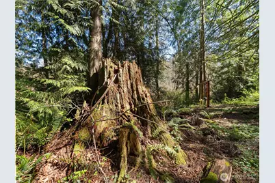 41298 214th Avenue SE, Enumclaw, WA 98022 - Photo 26