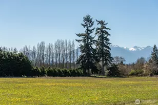 1688 Finn Hall Rd, Port Angeles, WA 98362 - Photo 24