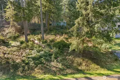 10514 100th Street Ct, Anderson Island, WA 98303 - Photo 2