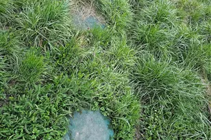 201 Serpentine Ave, Sequim, WA 98382 - Photo 20