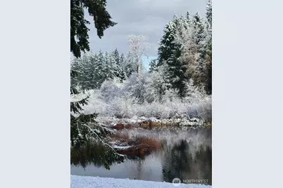 16719 14th Avenue Ct S, Spanaway, WA 98387 - Photo 32