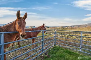 2775 4th St SE, East Wenatchee, WA 98802 - Photo 34
