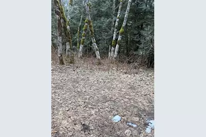 87236 NE Old Cascade Highway, Skykomish, WA 98288 - Photo 10