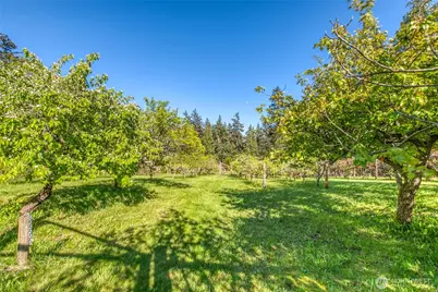 260 Grey Havens Loop, Orcas Island, WA 98280 - Photo 34