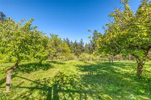 260 Grey Havens Loop, Orcas Island, WA 98280 - Photo 34
