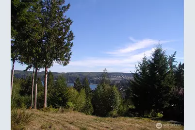 103 Wells Ridge Court, Port Ludlow, WA 98365 - Photo 10