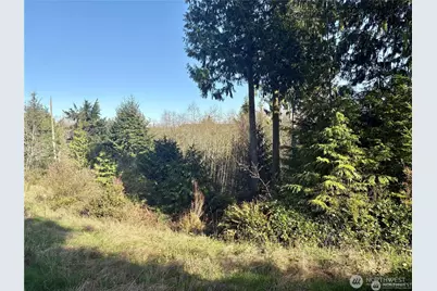 103 Wells Ridge Court, Port Ludlow, WA 98365 - Photo 6