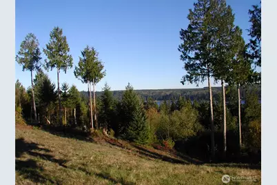 103 Wells Ridge Court, Port Ludlow, WA 98365 - Photo 14