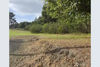 47 Xx State Route 105 S, Grayland, WA 98547 - Photo 12