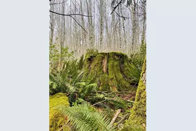 182 State Route 105, Raymond, WA 98577 - Photo 32