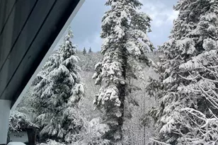 182 State Route 105, Raymond, WA 98577 - Photo 38