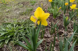 6 Tanager Ln, Republic, WA 99166 - Photo 26