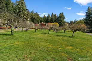 10427 Powell Dr NW, Gig Harbor, WA 98335 - Photo 16