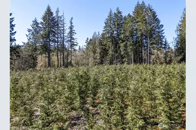 101 Andrejs Road, Shelton, WA 98584 - Photo 8