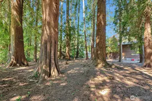 3356 SE Summer Pl, Port Orchard, WA 98366 - Photo 26