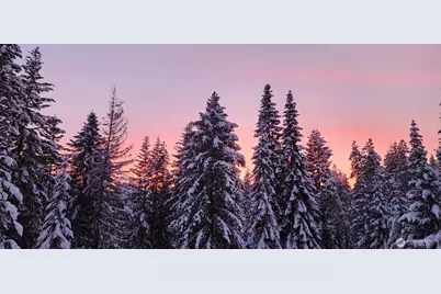 570 Sweetbriar Lane, Leavenworth, WA 98826 - Photo 36