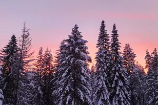 570 Sweetbriar Ln, Leavenworth, WA 98826 - Photo 36