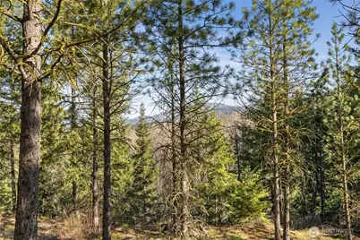 47 Gold Leaf Lane, Cle Elum, WA 98922 - Photo 4