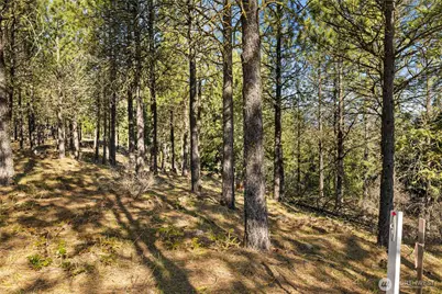 47 Gold Leaf Lane, Cle Elum, WA 98922 - Photo 6