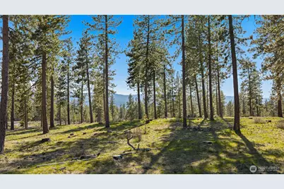 0 Xxx Flying M, Cle Elum, WA 98922 - Photo 6