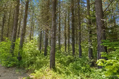 831 Iron Monarch Loop, Cle Elum, WA 98922 - Photo 10