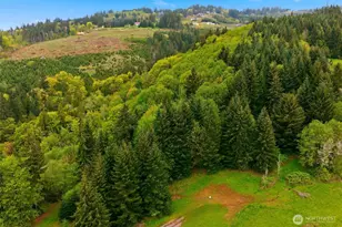 0 Green Mountain Rd, Kalama, WA 98625 - Photo 1