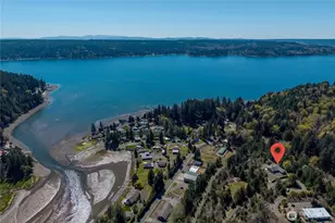 151 NE Myrlis Joy Dr, Tahuya, WA 98588 - Photo 36