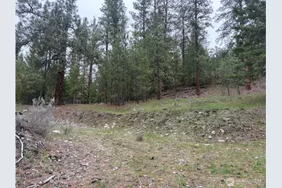 111 Tbd Fish Hatchery Road, Republic, WA 99166 - Photo 4