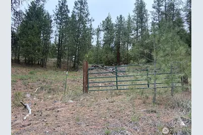 111 Tbd Fish Hatchery Road, Republic, WA 99166 - Photo 2