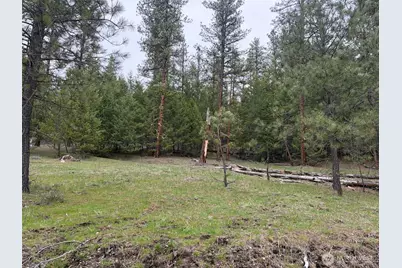 111 Tbd Fish Hatchery Road, Republic, WA 99166 - Photo 6