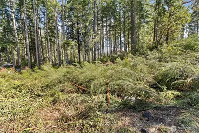 19025 SW 23rd St, Longbranch, WA 98349 - Photo 4