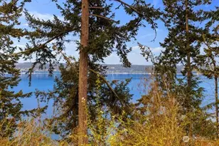 595 Race Rd, Coupeville, WA 98239 - Photo 2
