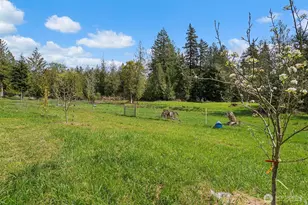 291 E Orchid Ln, Grapeview, WA 98546 - Photo 20
