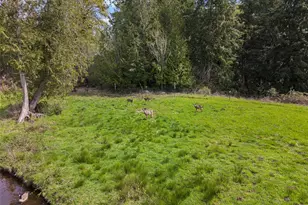 291 E Orchid Ln, Grapeview, WA 98546 - Photo 28