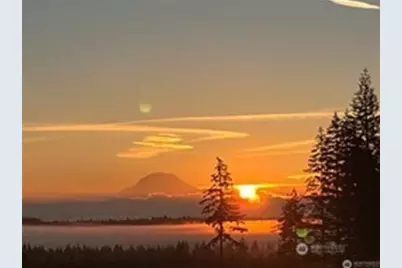 381 E Benson Ridge Road, Grapeview, WA 98546 - Photo 38