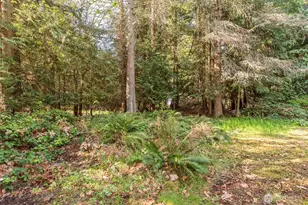 113 N Jensen Rd, Port Angeles, WA 98362 - Photo 30