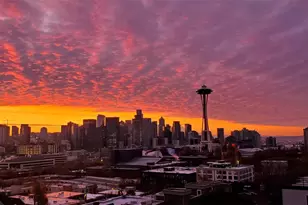 900 Warren Ave N, Seattle, WA 98109 - Photo 32