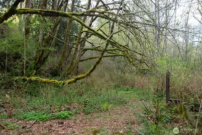13101 Olalla Valley Road SE, Olalla, WA 98359 - Photo 28