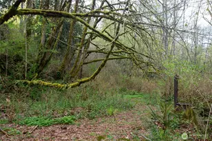 13101 Olalla Valley Rd SE, Olalla, WA 98359 - Photo 28