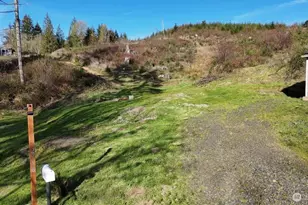 2916 Little Hanaford Rd, Centralia, WA 98531 - Photo 1